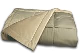 Blue Ridge Home Fashions Microplush 50 Inch by 60 Inch Down Alternative Throw, Sage