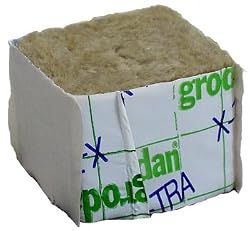 Rockwool Grow Cubes (MM 50/40) 24 Cube Sheet 2 in X 2 in X 1 5 in