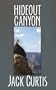 Hideout Canyon (Center Point Western Complete (Large Print))