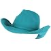 Unisex Winter Big Classic 100% Wool Felt Western Cowboy Curled Brim Hat Turquoise Blue