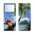 Tropics (Parrot) - Apple iPod nano 1G (1st Generation) 1GB/ 2GB/ 4GB Protector Skin Decals - Faceplates