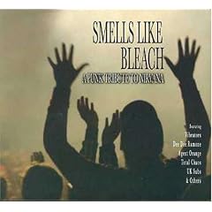 Smell Like Bleach