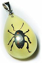 Glow in the Dark Shinning Beetle Necklace