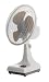 Kitchen & Housewares : Wahl 9 inch Wall or Desk Fan White