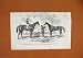 1847 Horse Winners Derby Oaks Miami Cossack Newmarket