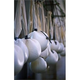 photographie Curds in cheescloth are tied into ball shapes and hung for one day. est disperible e...