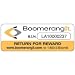 As Shown BoomerangIt 9 ID Labels Mobile ID