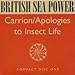 British Sea Power, Carrion/Apologies to Insect Life, 発売中