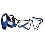 The Illusion Collar and Leash Set By Cesar Millan: BLACK and LARGE Size