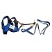 The Illusion Collar and Leash Set By Cesar Millan: BLACK and LARGE Size