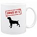 New  Owned By Cane Corso  Mug Dog