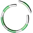 16 Gauge 5/16 Green Silver Anodized Titanium Segment Ring