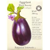 Eggplant Black Beauty Certified Organic Heirloom Seeds 75 Seeds