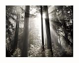 Morning Light Photography Art Poster Print by Dennis Frates, 28x22