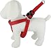 Kakadu Pet Galaxy Padded Nylon Step In Dog Harness, 1/2-Inch by 16-Inch to 22-Inch , Red