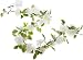 Wilton Lighted White Rose Garland