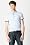 Short Sleeve Semi Fancy Pima Jersey Slim Polo