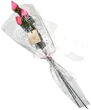 Seashell Pink Roses Gift Bouquet - Wrapped & Ribbon Tied Flowers