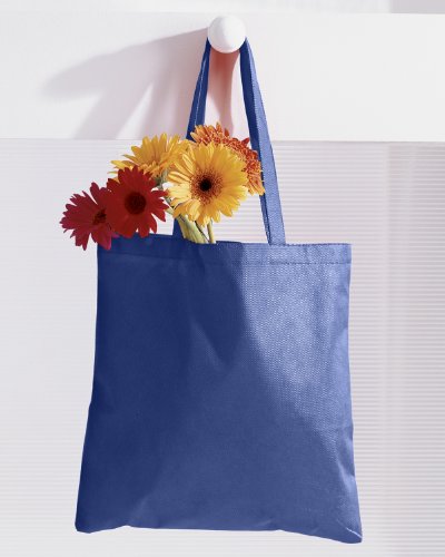 BAGedge 8 oz Canvas Bag BE003