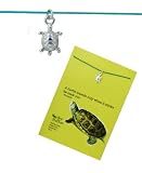 Lucky Feather Aquarium Collection Turtle Greeting Card Necklace