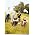 Thumbnail image of Sigur R�s