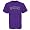 Nike Colorado Rockies Youth Purple Practice T-shirt