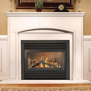 Napoleon W175-0127-GD33NR GD33 Direct Vent Gas Fireplace Conversion Kit for Millivolt - Natural Gas to Propane - W175-0127-GD33NR