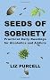 Seeds of Sobriety: Practical Daily Readings for Alcoholics and Addicts