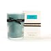 Paddywax Classic 8-Ounce Poured Glass Candle, Mint Mojito