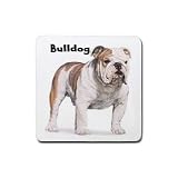 Bulldog Rubber Square Coaster (4 pack)
