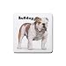Bulldog Rubber Square Coaster (4 pack)