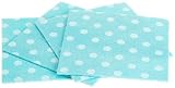 DII Re-usable Clean Cloth Sponge, Aqua, Set of 8