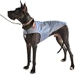Dog Gone Smart 24-Inch Jean Jacket for Dogs, Denim Dog Gone Smart 24-Inch Jean Jacket for Dogs, Denim