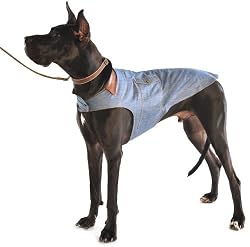 Dog Gone Smart 24-Inch Jean Jacket for Dogs, Denim