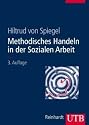Methodisches Handeln in der Sozialen Arbeit: Grundlagen und Arbeitshilfen für die Praxis. Mit 25 Arbeitshilfen (Uni-Taschenbücher L)