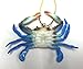 Chesapeake Bay Maryland Blue Crab Christmas Ornament Set of 5