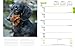 Dachshunds 2017 Calendar (Multilingual Edition)