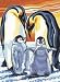 Mammut - Malen nach Zahlen ´Pinguine' 23 x 30 cm