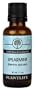 Spearmint 100% Pure Essential Oil - 30 ml