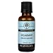 Spearmint 100% Pure Essential Oil - 30 ml