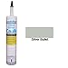Hydroment Color Matched Caulk by Colorfast (Unsanded) (H168 Silver Bullet)