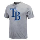 MLB Tampa Bay Rays Youth Short Sleeve Basic Tee (Steel Heather, Medium)