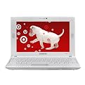 Samsung 10.1" Mini Netbook Computer - White (N120-12GW)