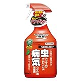 ���i�̏ڍ�