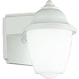 IMAGE OF Progress Lighting P7344-30 White Outdoor 13 Watt Plastic Wall Mount Lantern with White Acrylic Glass, White