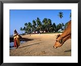 Woman and Cow on Beach, Anjuna Flea Market, Anjuna, India Framed Art Poster Print by Peter Ptschelinzew, 31x25
