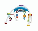 Fisher-Price iPhone Apptivity Gym