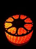 150Ft Rope Lights; Vivid Red LED Rope Light Kit; 1.0" LED Spacing; Christmas Lighting; outdoor rope lighting