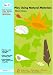 Book Play Using Natural Materials (Ready, Steady, Play S.)