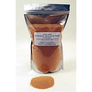 Organic Amaranth Seeds- 2.5 Lbs- Grain Seed for Sprouting Sprouts, Cooking, Grinding For... by Handy Pantry